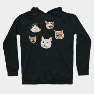 Funny cat faces sticker pack Hoodie